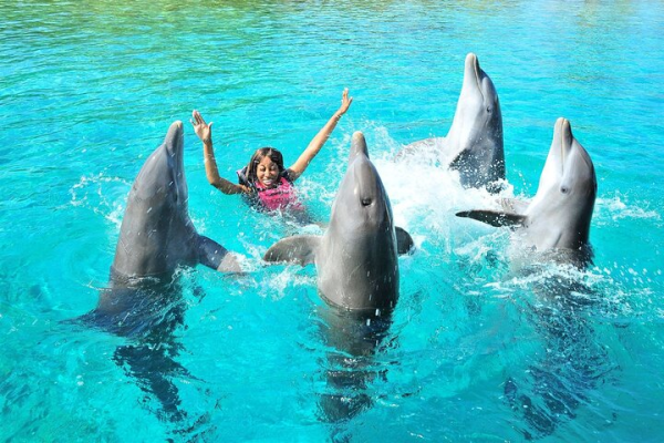 Swimming with dolphin